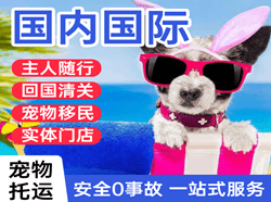 腾冲驼峰空运国际宠物托运 【国